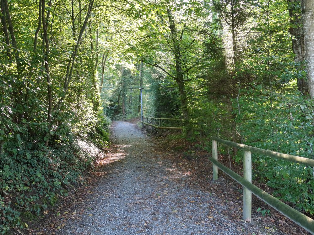 Schlossweg