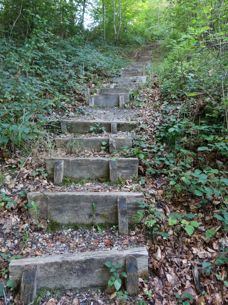 Treppe im Schlosstobel