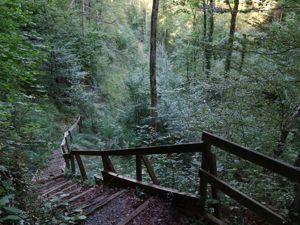 Treppe im Schlosstobel