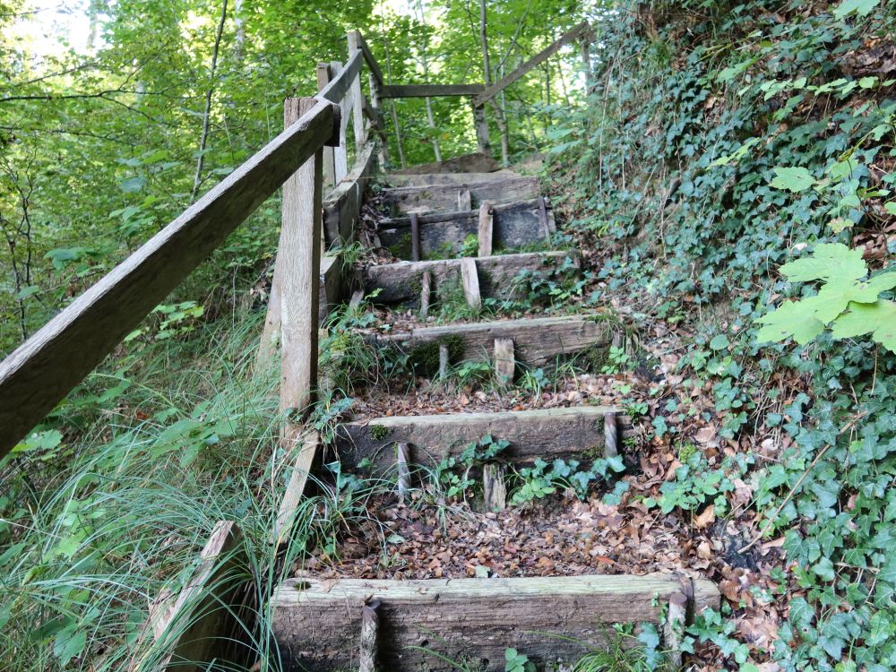 Treppe im Schlosstobel