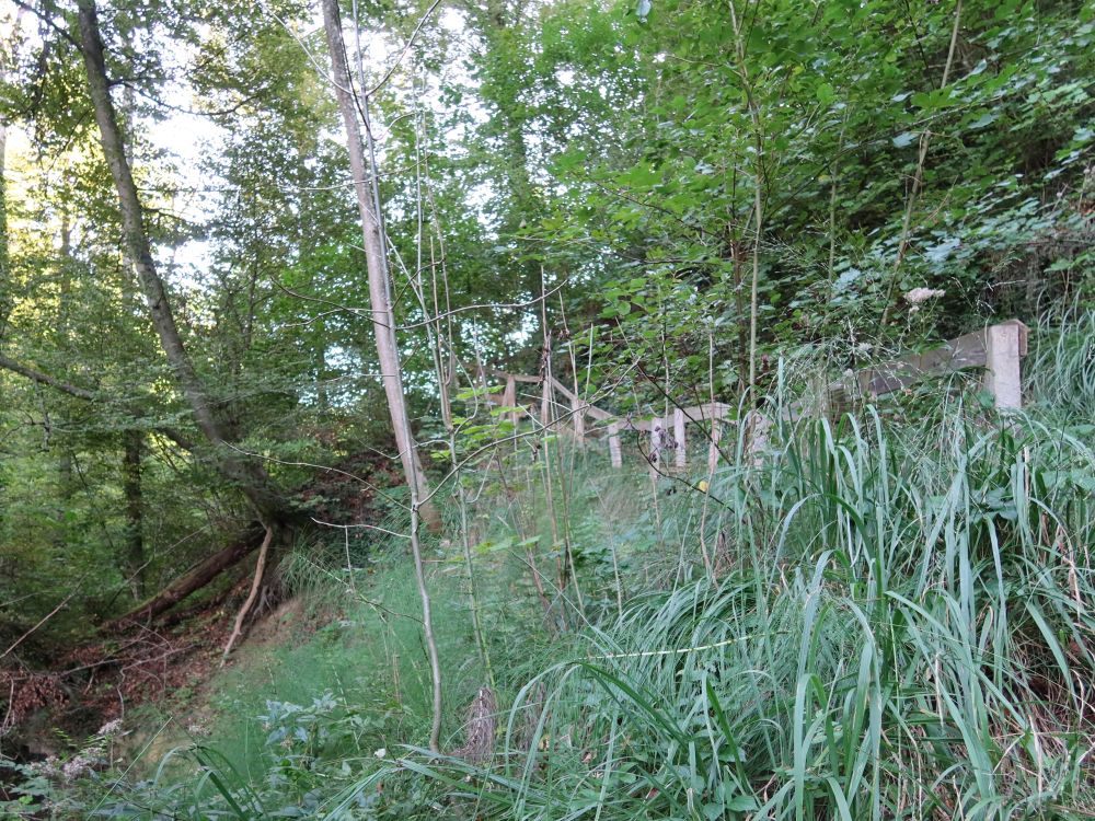 Treppe im Schlosstobel