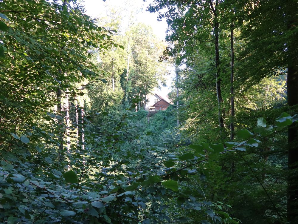 Blick Richtung Dübelstein