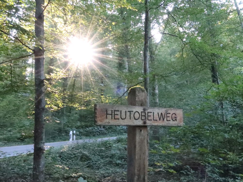 Wegschild mit Gegenlicht