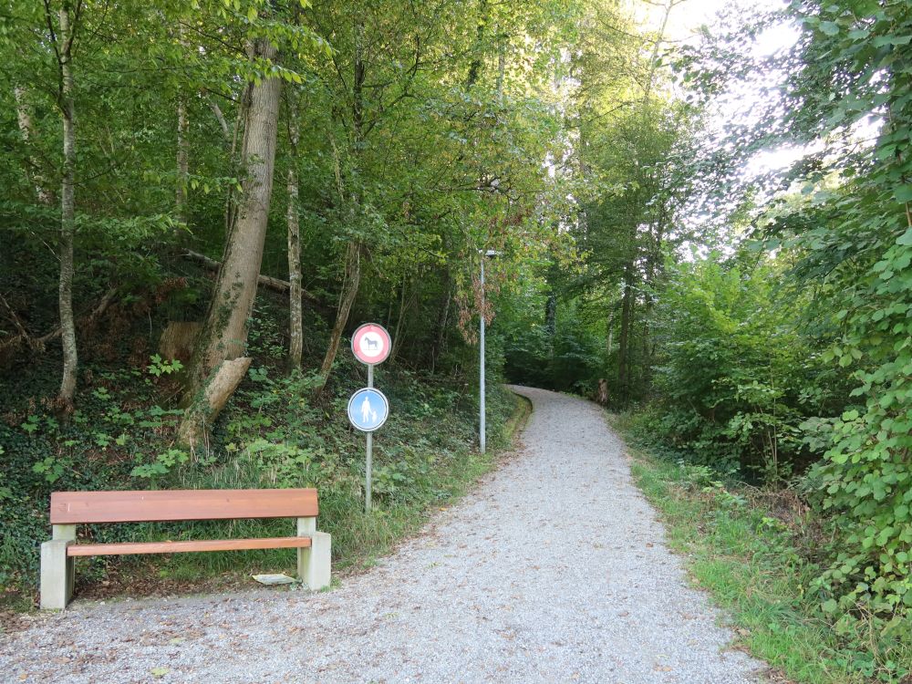 Schlossweg