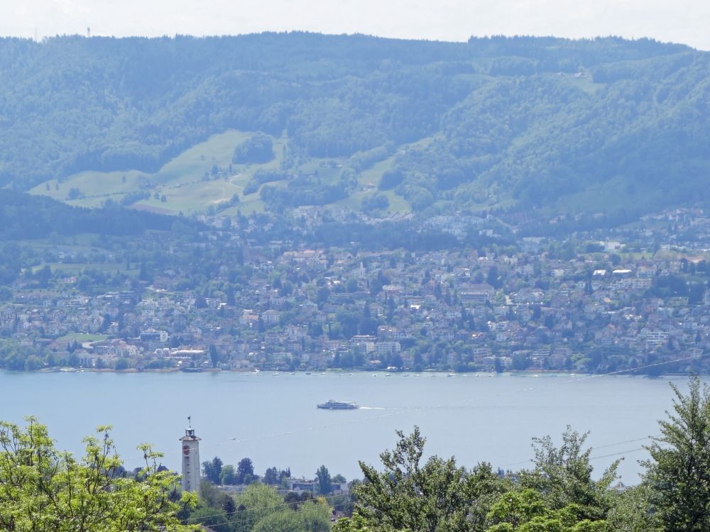 Blick zum Zürichsee