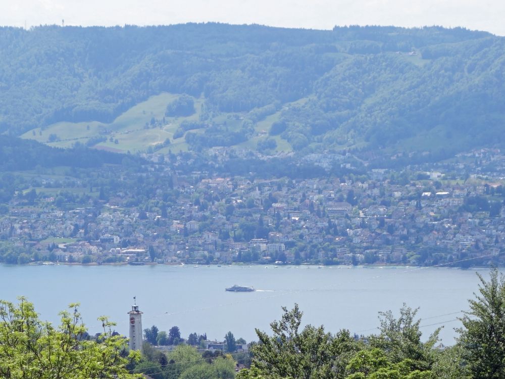 Blick zum Zrichsee