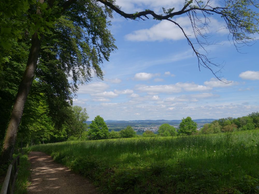 oberhalb Dbelstein