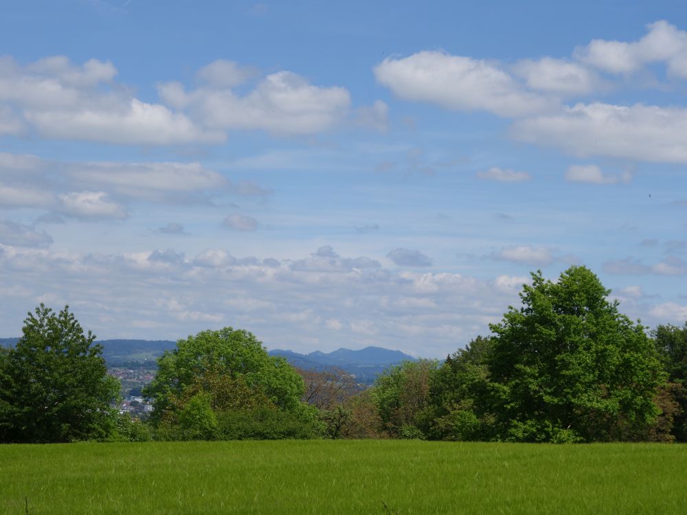 oberhalb Dbelstein