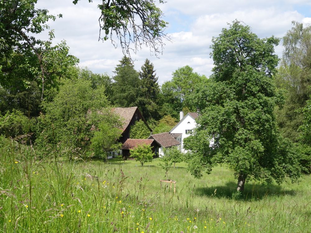 Bauernhof bei Dbelstein