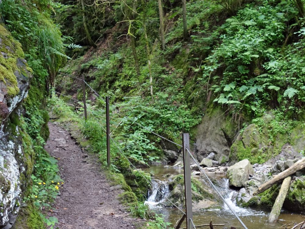 Lotenbachklamm