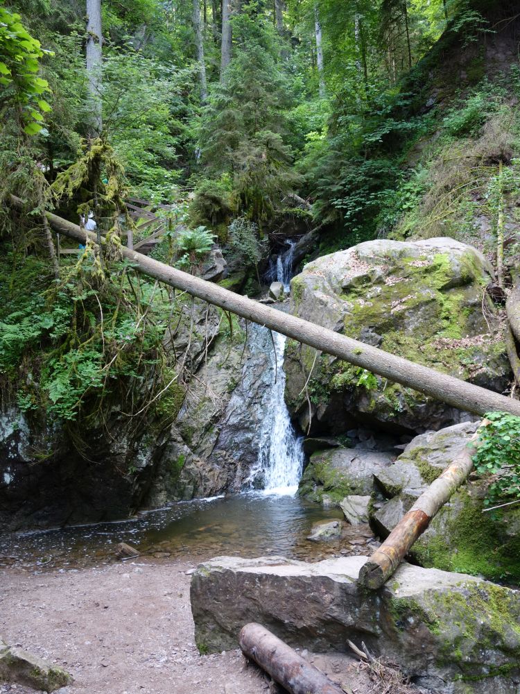 Lotenbachklamm