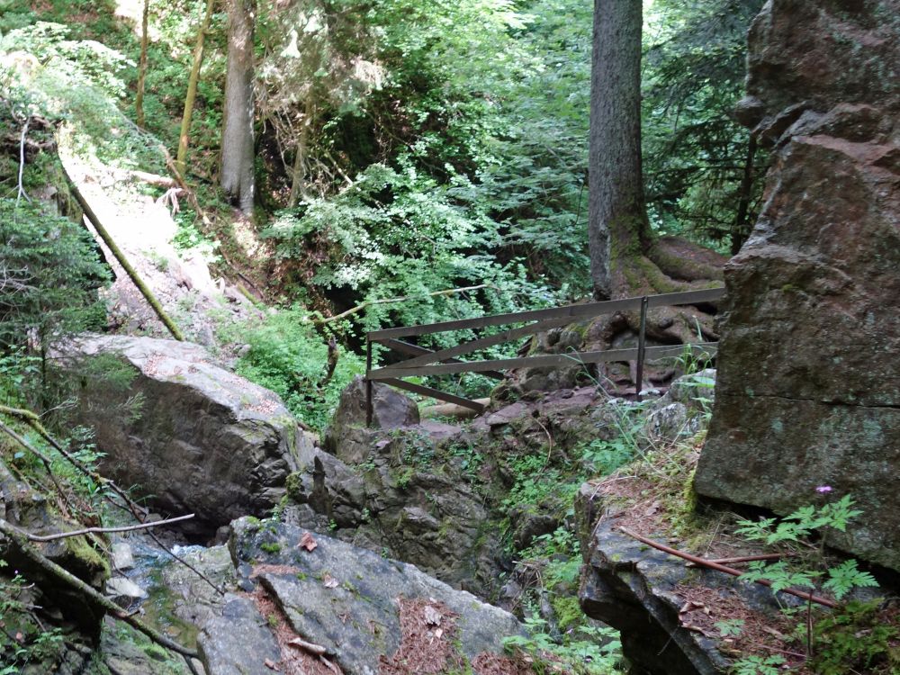 Lotenbachklamm