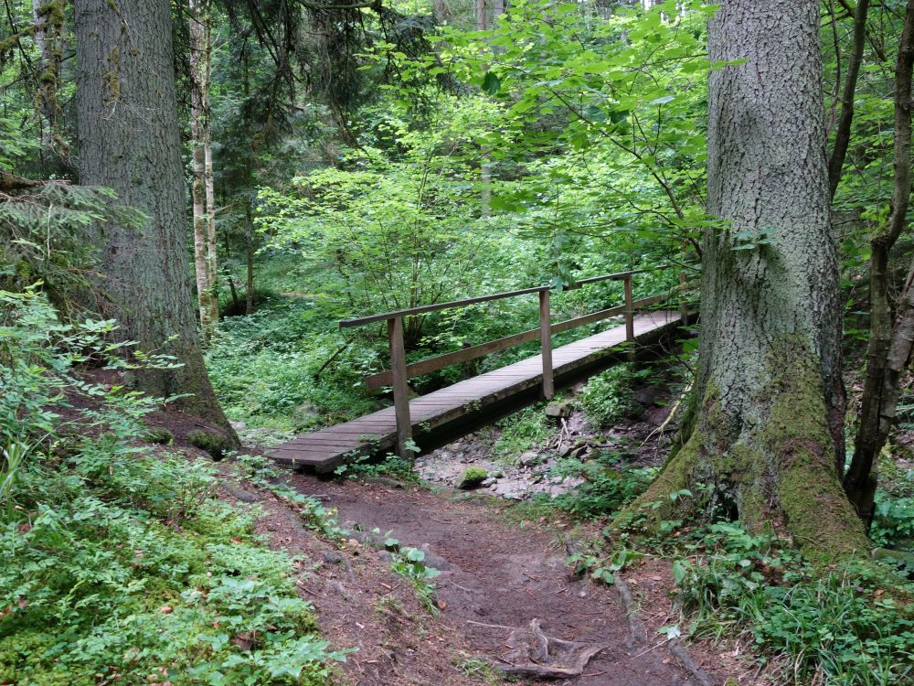 Lotenbachklamm