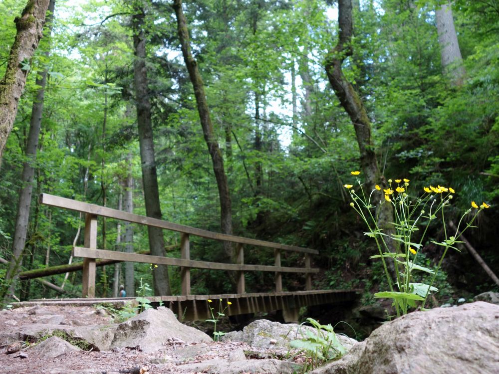 Lotenbachklamm