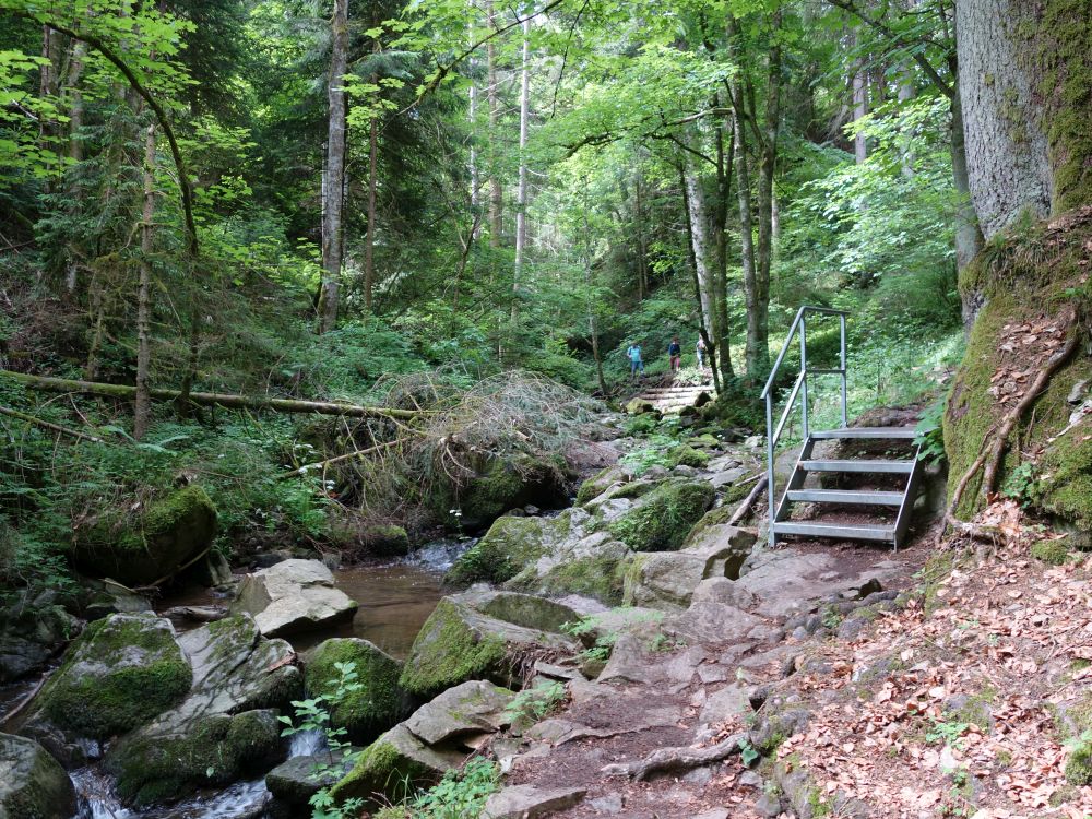 Lotenbachklamm