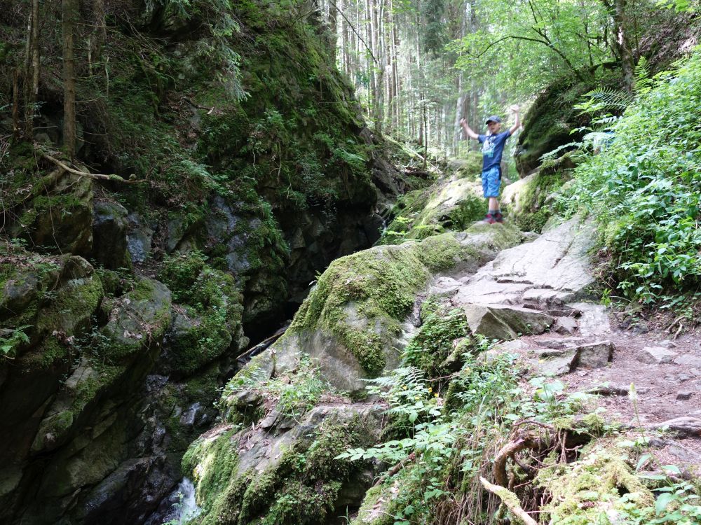 Lotenbachklamm