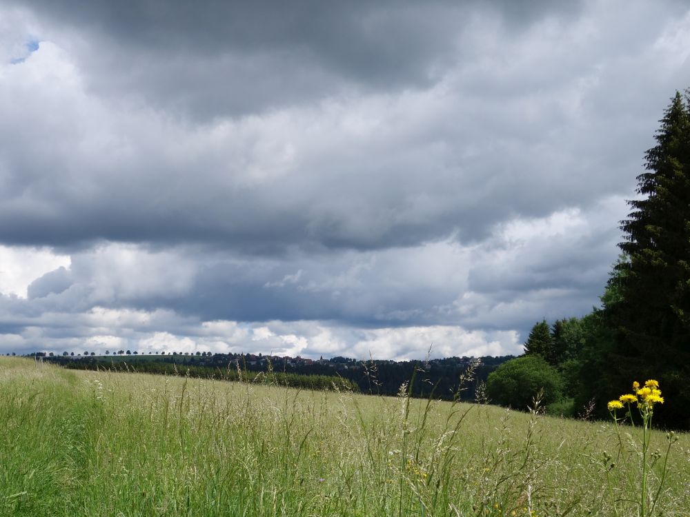 Regenwolken