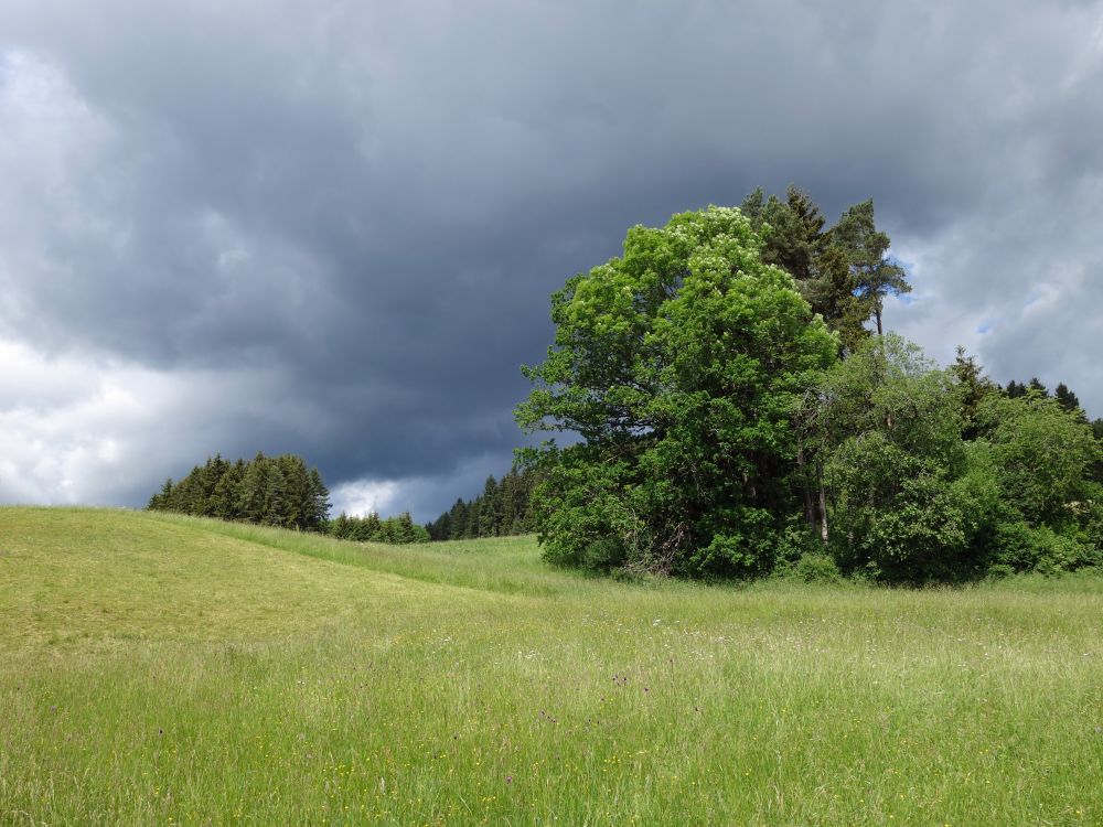 Regenwolken