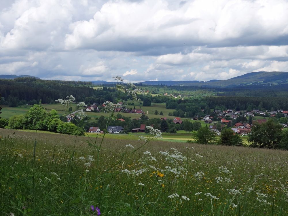 Blick Richtung Gündelwangen