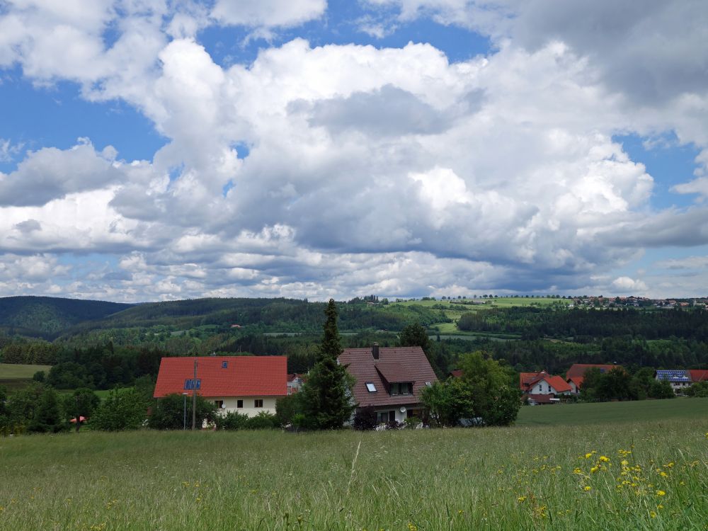 Ortsrand Gündelwangen