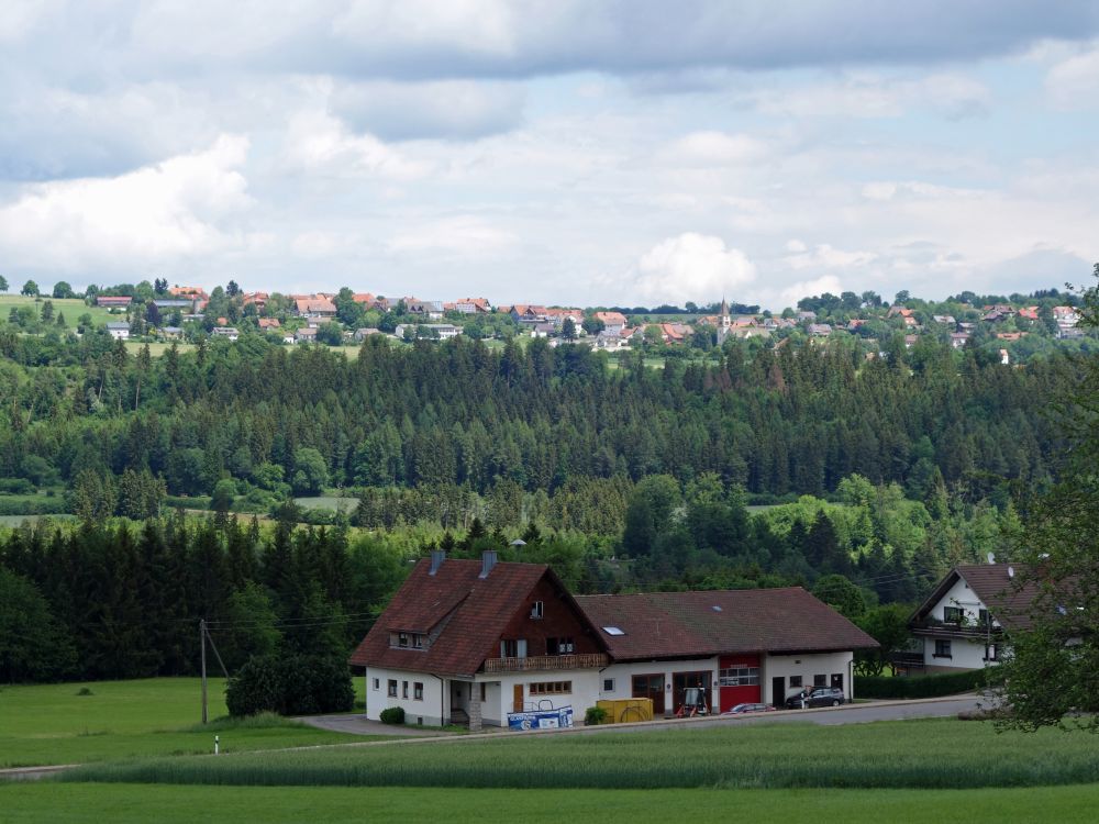 Blick über die Wutachschlucht hinweg