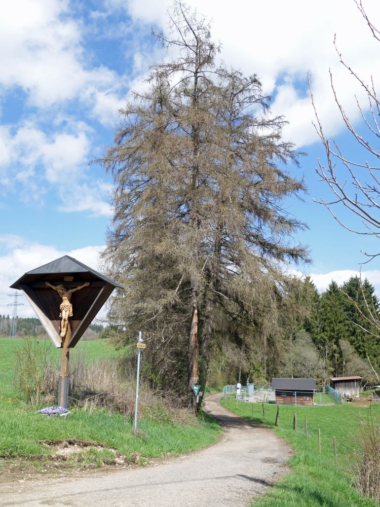 Abzweig in Boll zur Wutachschlucht