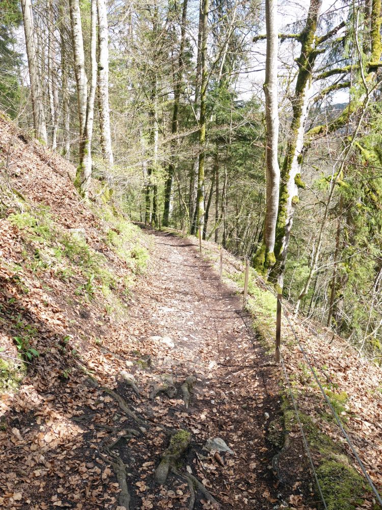 Abstieg in die Wutenbachschlucht