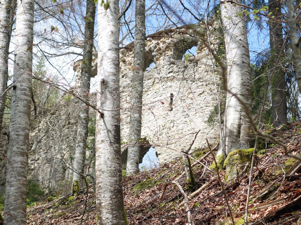 Ruine Boll