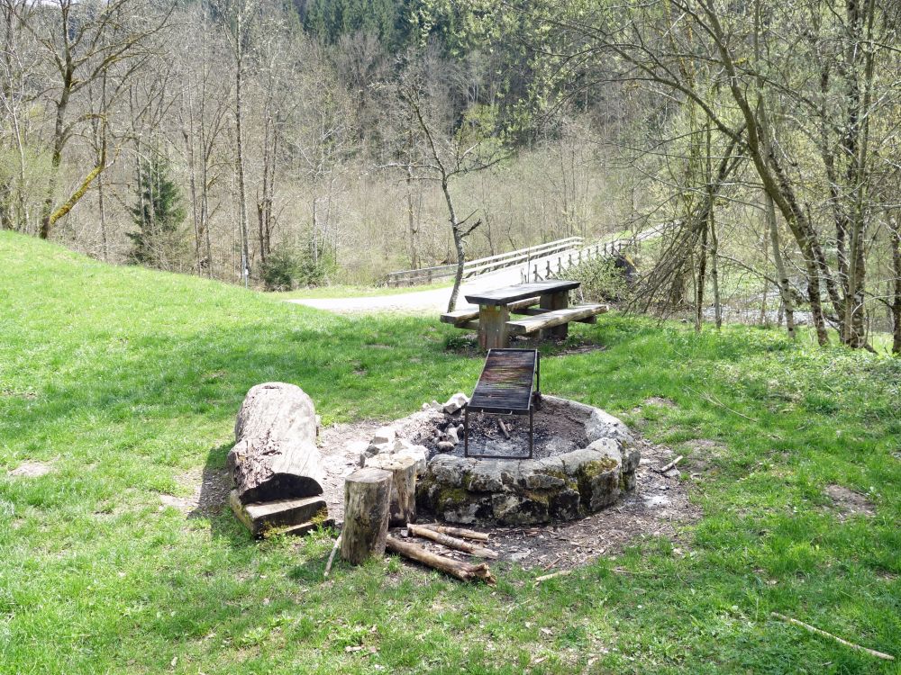 Dietfurtbrücke und Feuerstelle