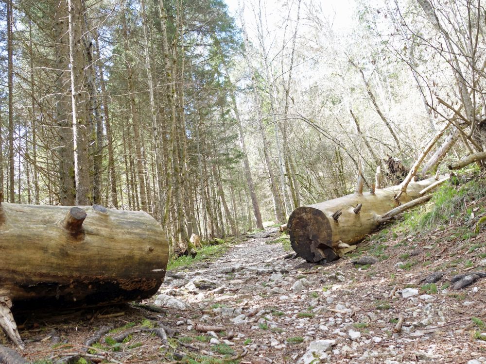 entlang der Wutach