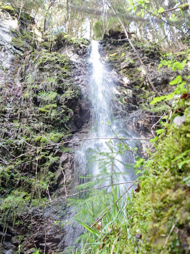 Lotenbachklamm