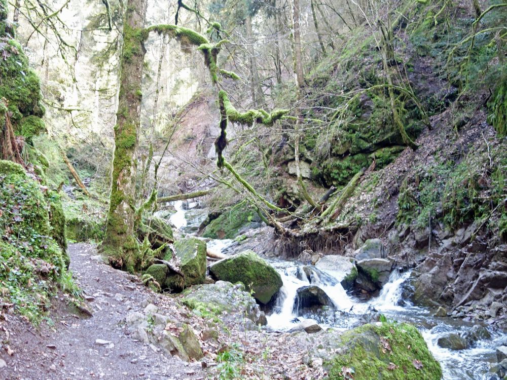 Lotenbachklamm