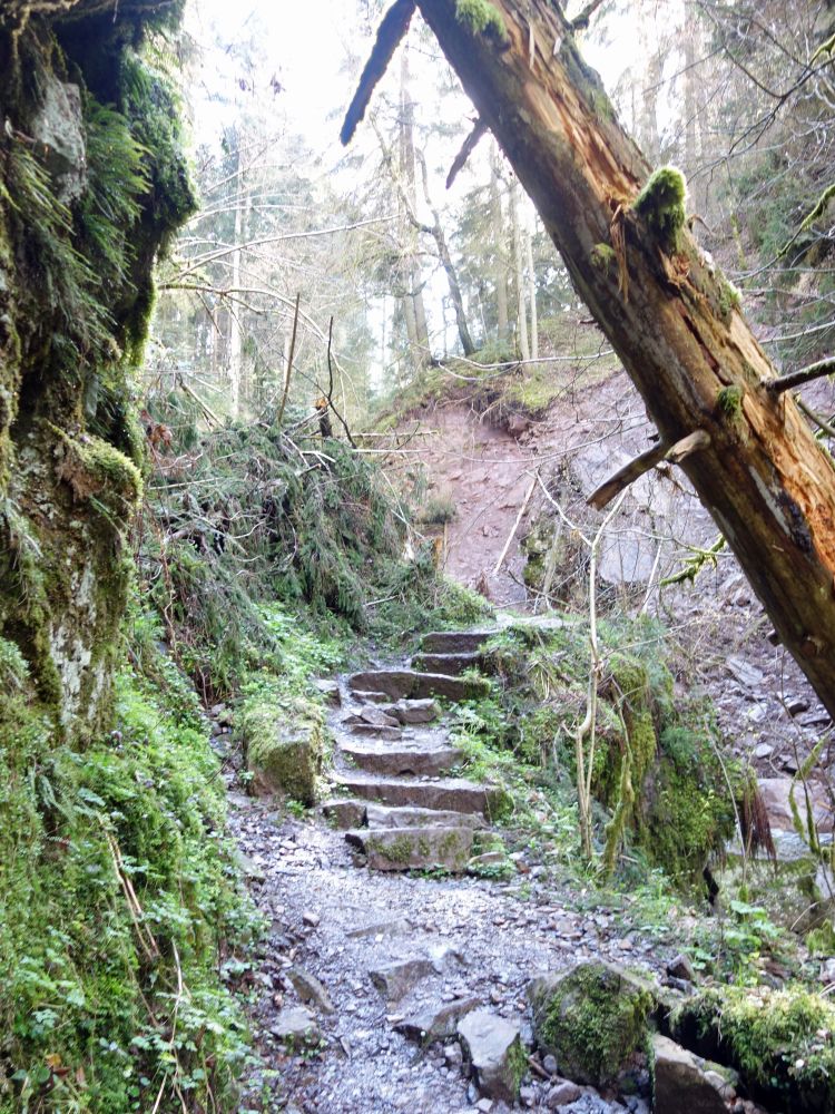 Lotenbachklamm