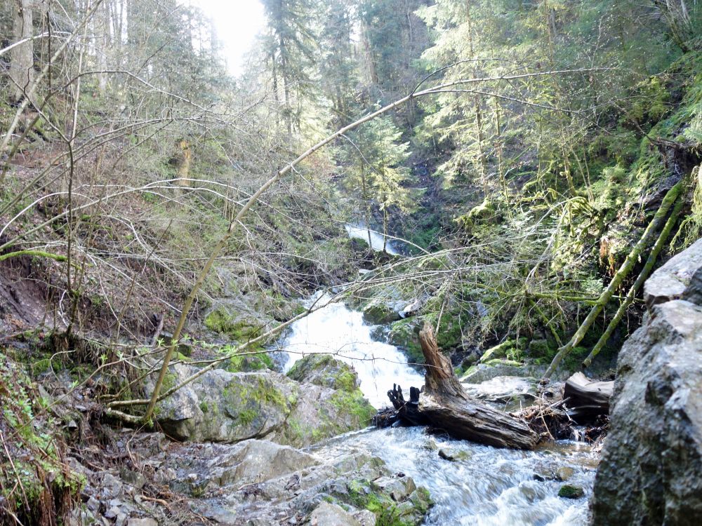 Lotenbachklamm