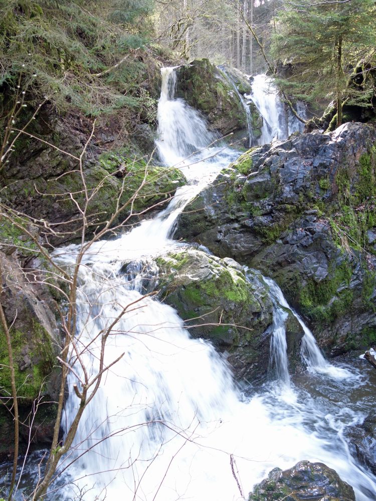 Lotenbachklamm