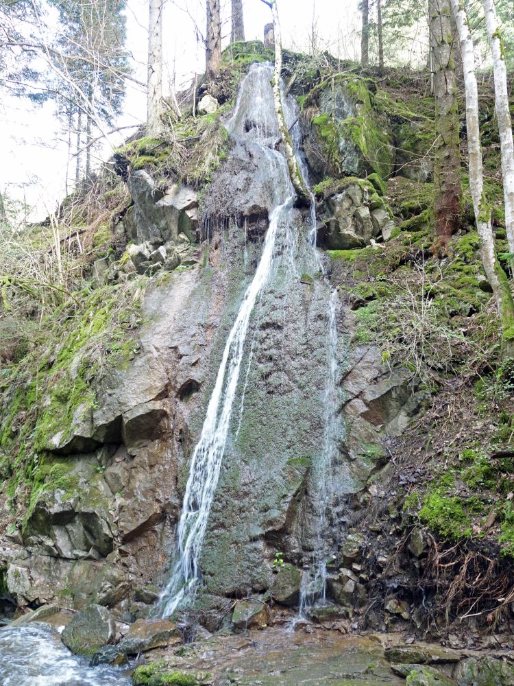 Lotenbachklamm