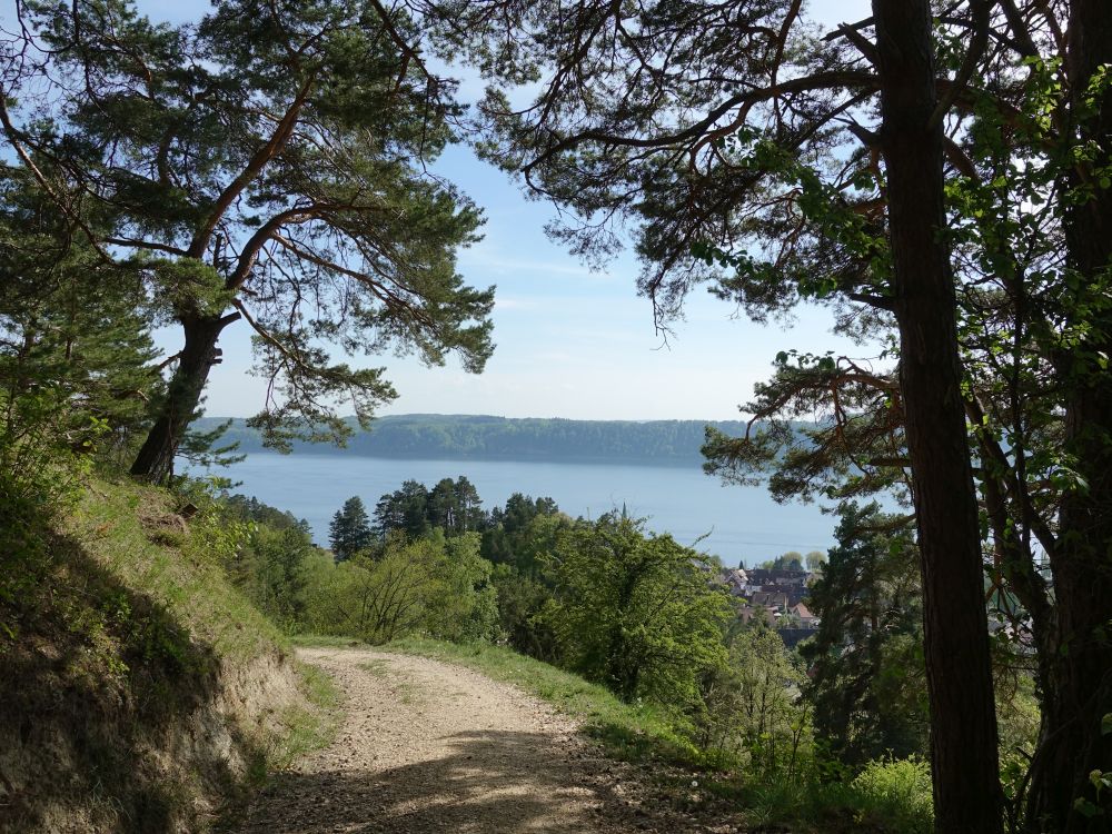 Blick auf den Überlinger See