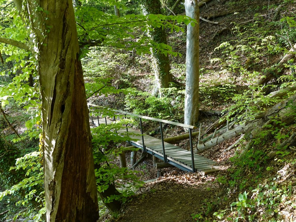 Holzsteg