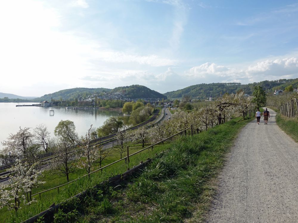 Wanderweg Seegang bei Ludwigshafen