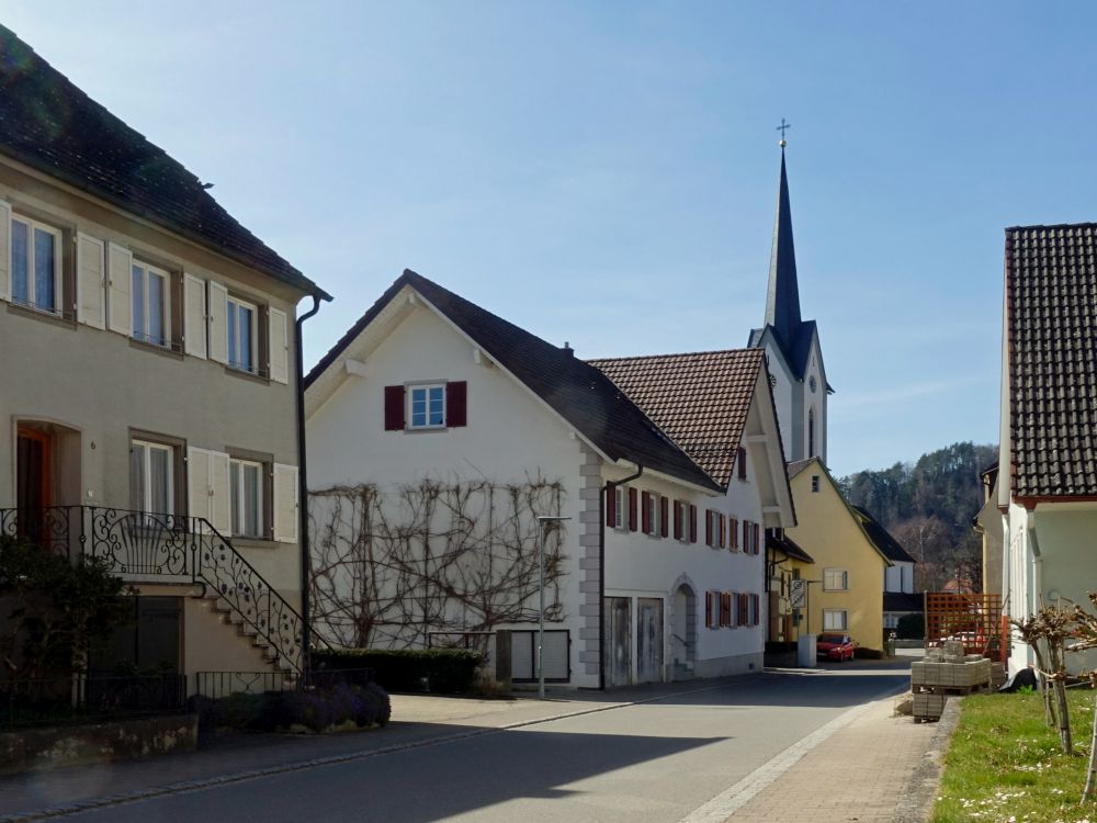 Haldenhofstrasse