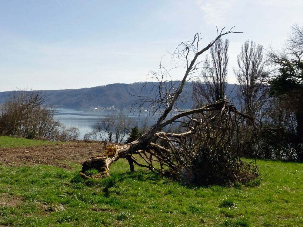 Überlinger See