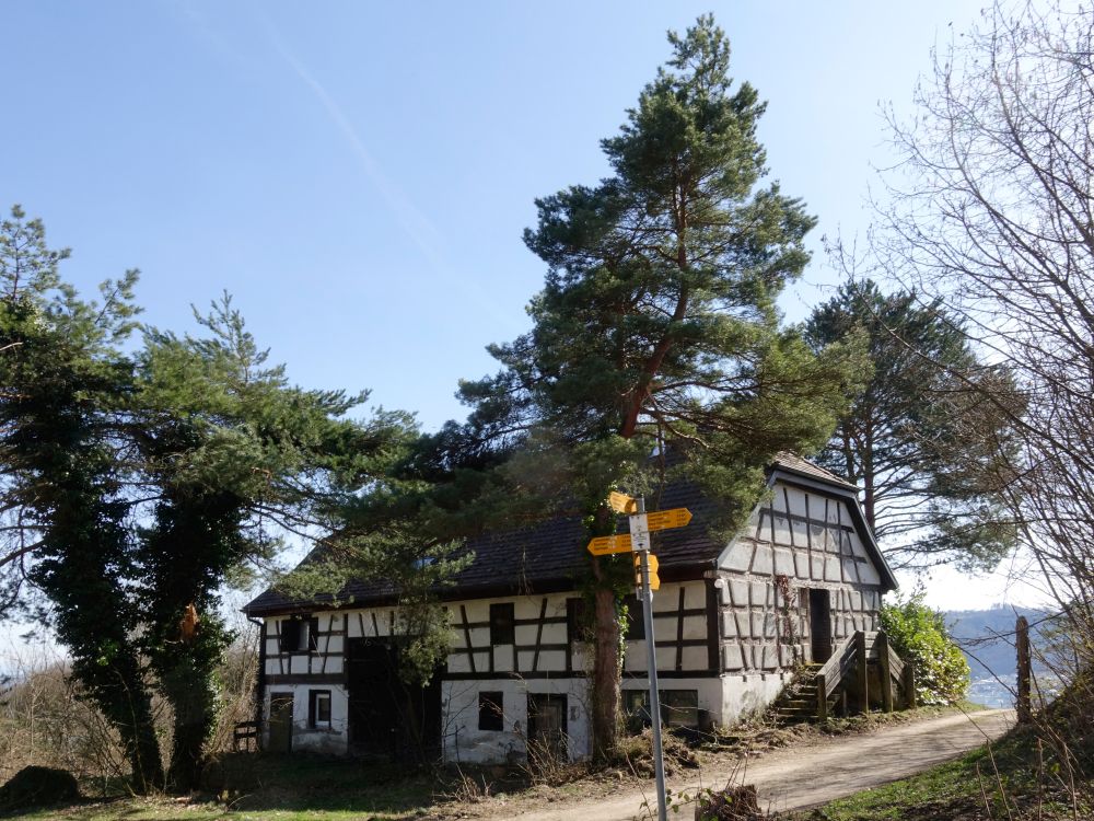 Forsthausstüble am Spittelsberg
