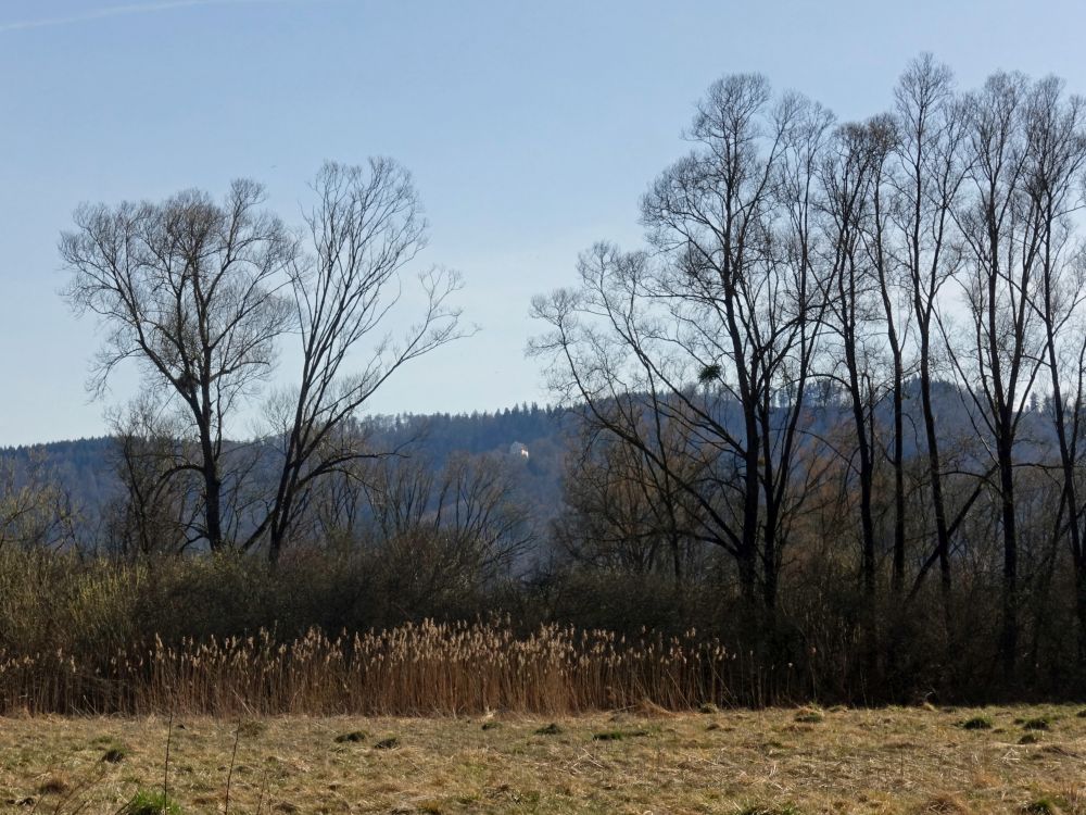 Mondäcker