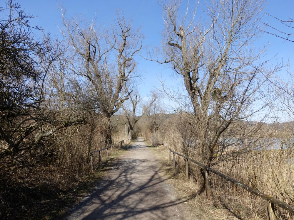 Uferweg