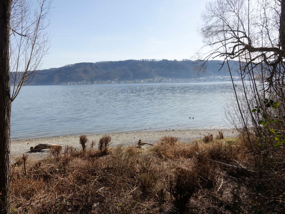 Blick nach Bodman