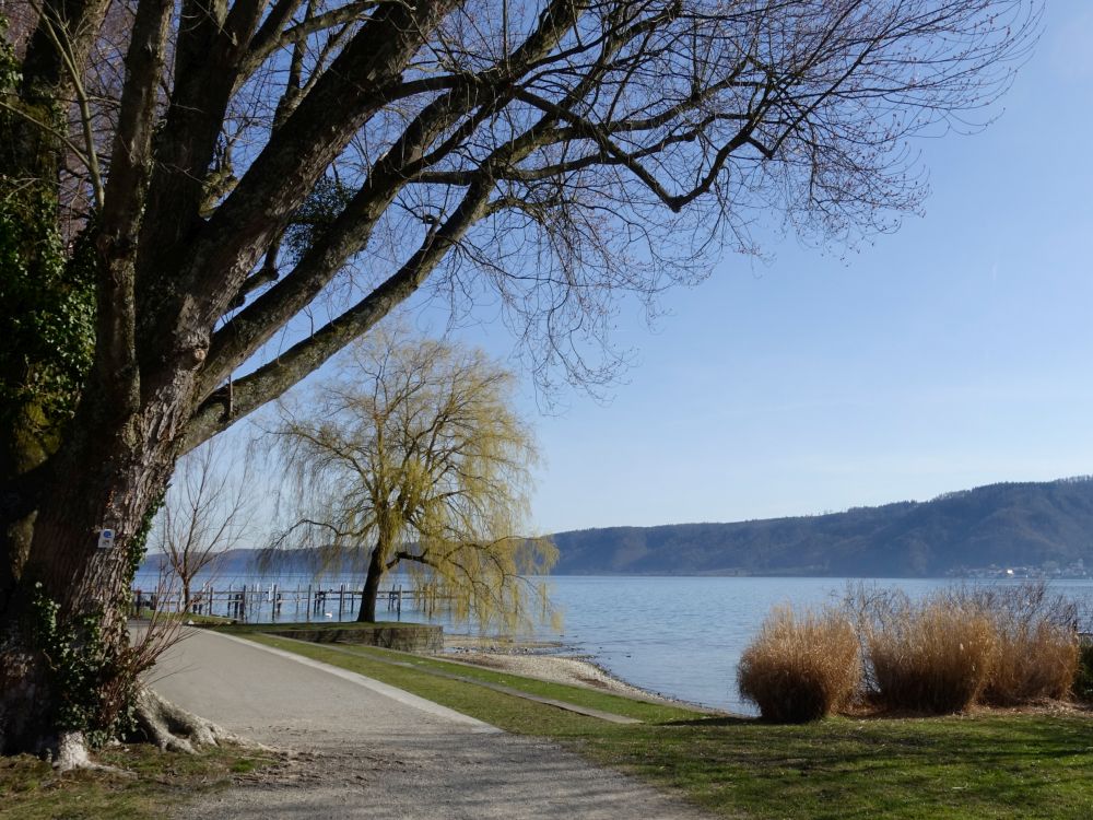 Uferpromenade