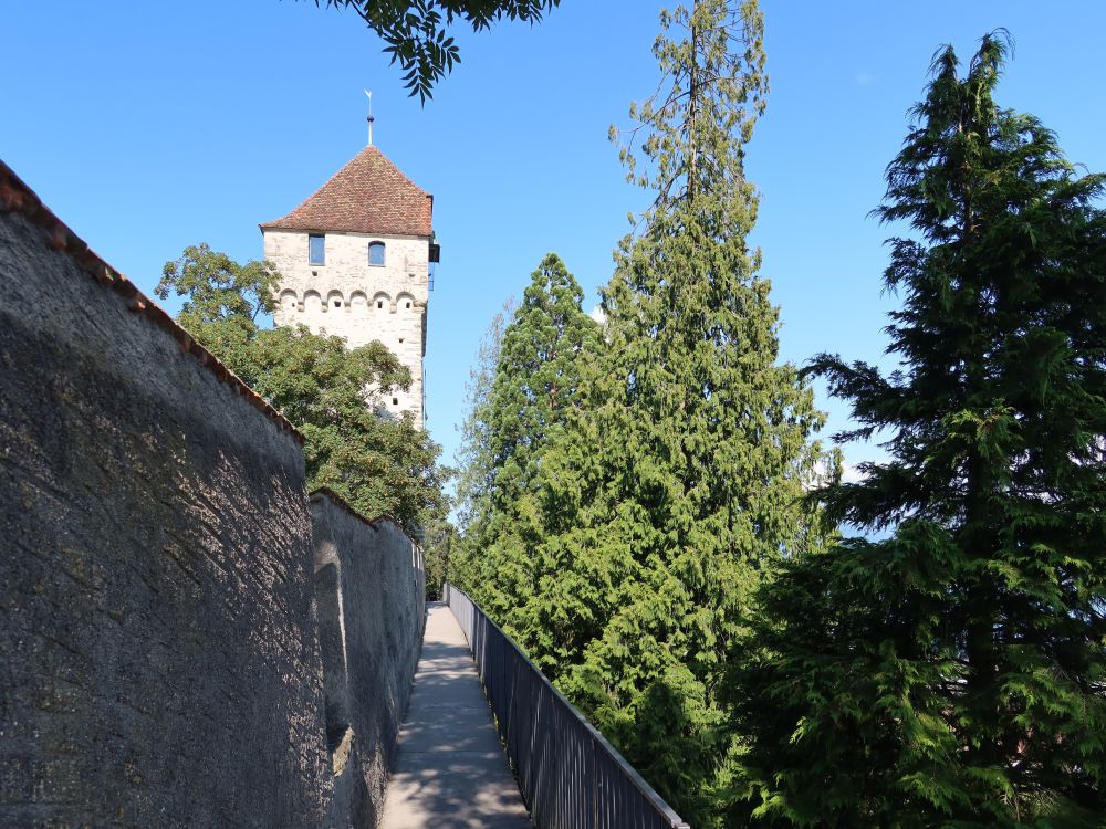 Mauergang und Zytturm