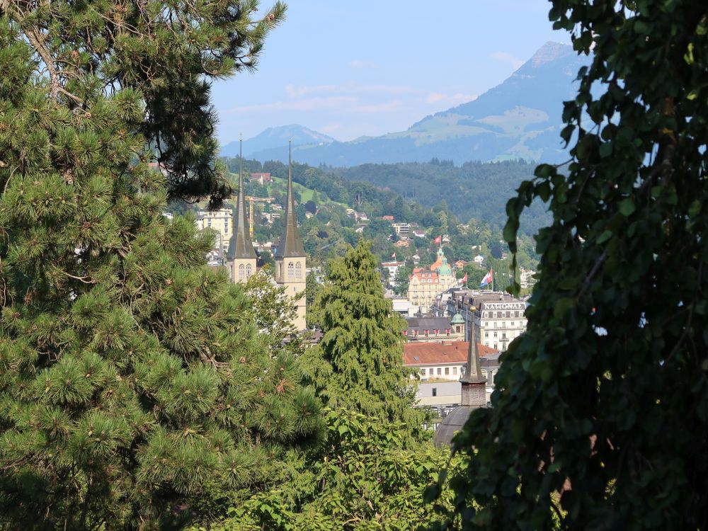 Hofkirche St. Leodegar mit Wildspitz und Rigi