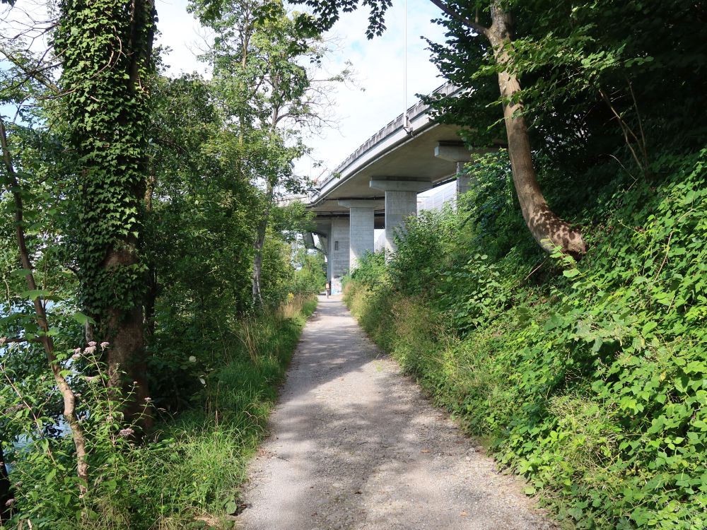 Reusseggweg unter Einfahrt Emmen Süd