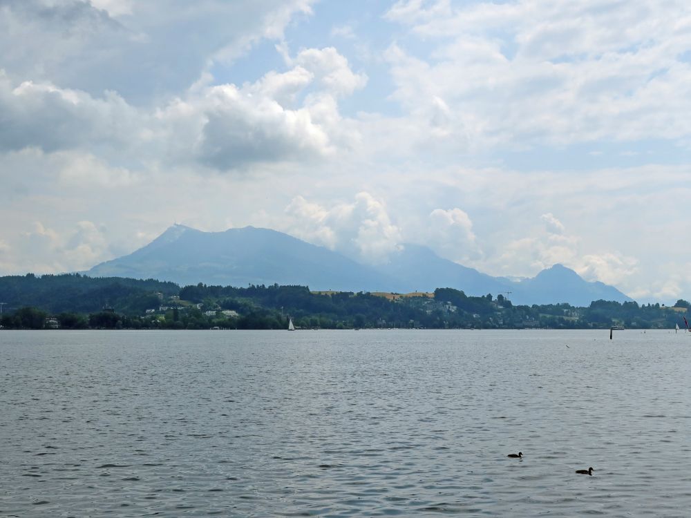 Vierwaldstättersse mit Rigi